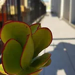 펜션 Casa Seveara Tra Mare E Centro *