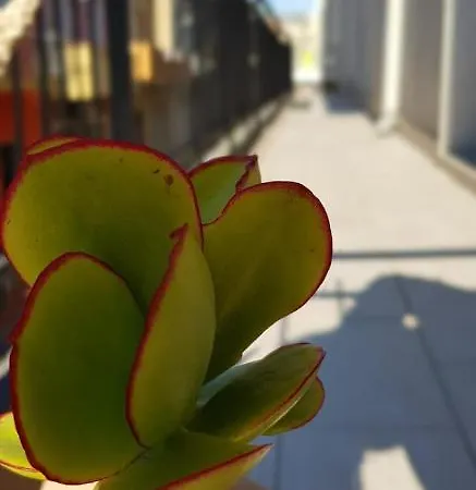 Feriehus Casa Seveara Tra Mare E Centro *